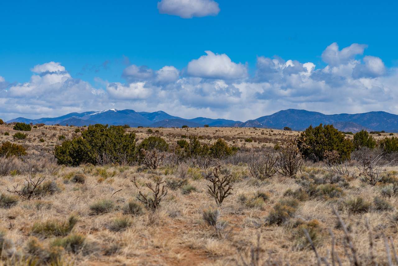 38 Acres Sundog - Photo 1