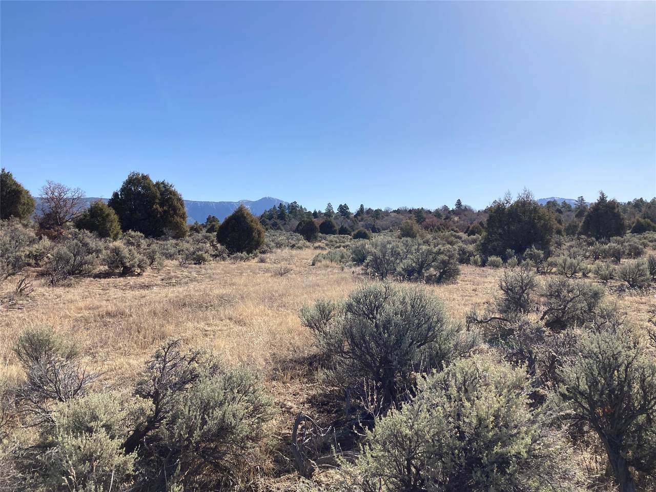 TBD Tierra Grande Lots 24,52,53 - Photo 1