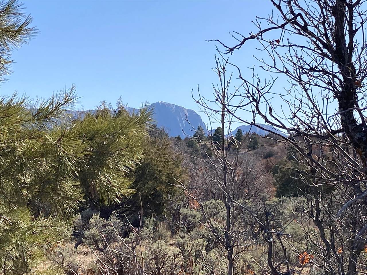 TBD Tierra Grande Lots 16 43 44 45 - Photo 1