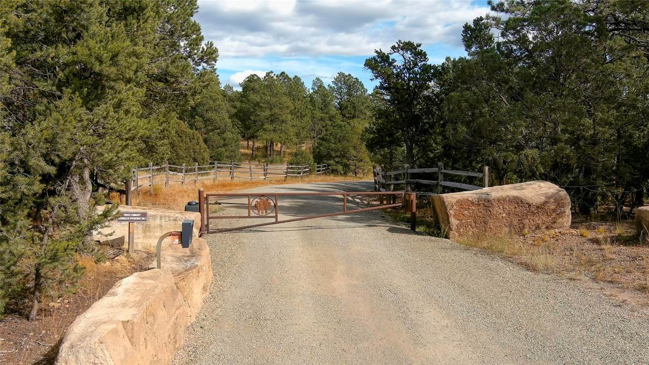 Lot 26 Birds Of A Feather - Photo 1