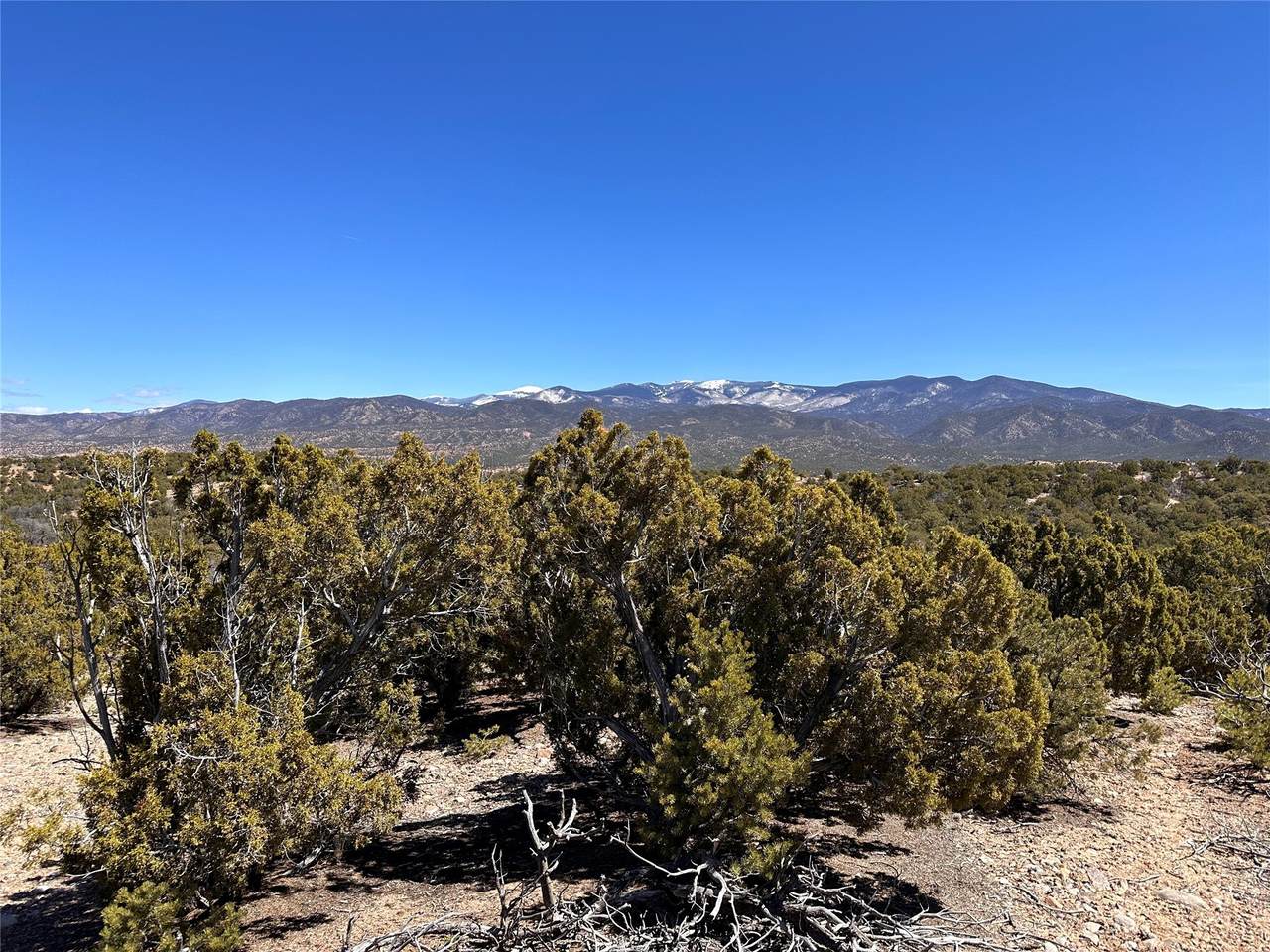 4020 Via Verdi, Lot 233 - Photo 1