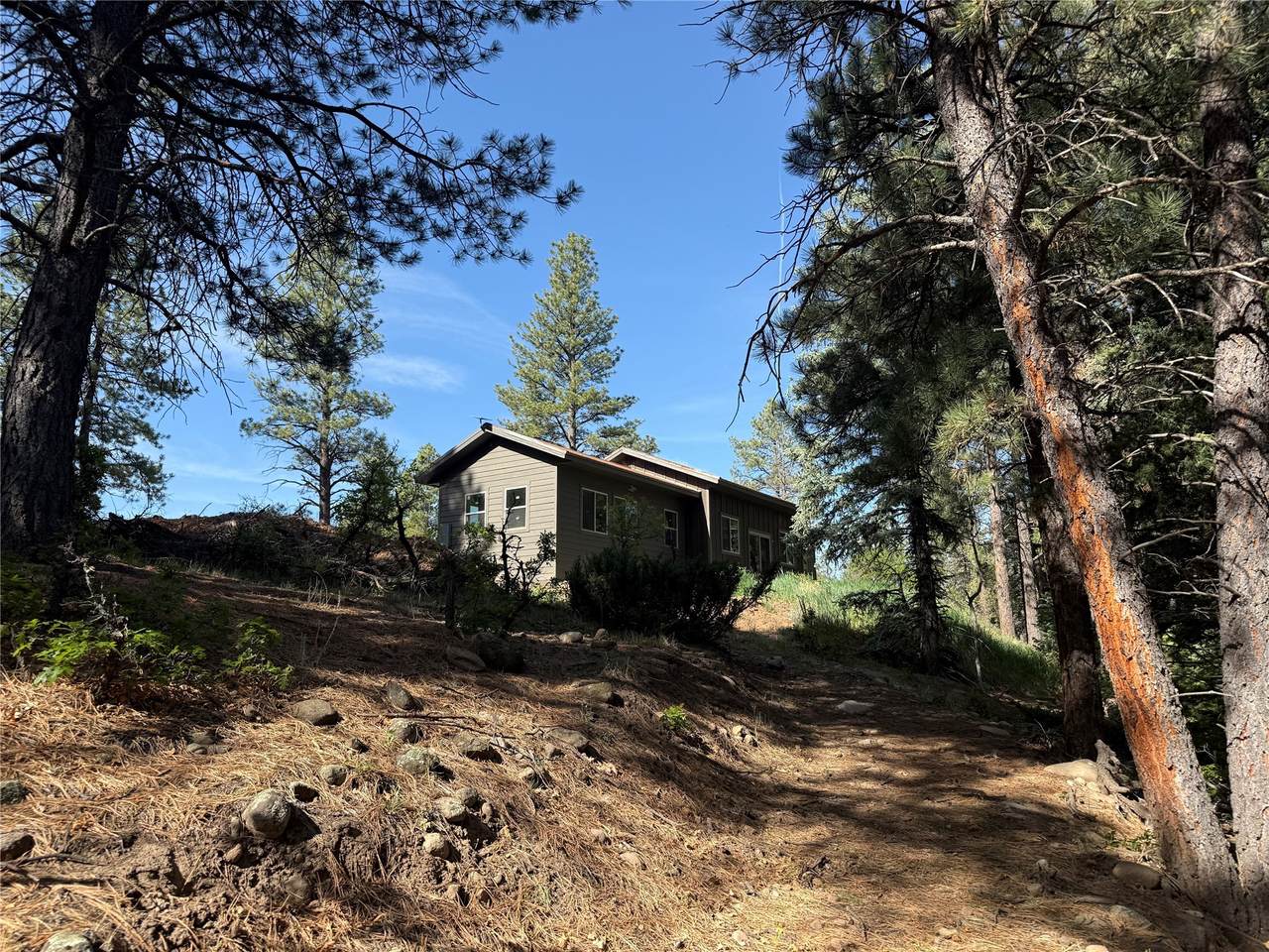 160 Indian Paint Brush - Photo 1