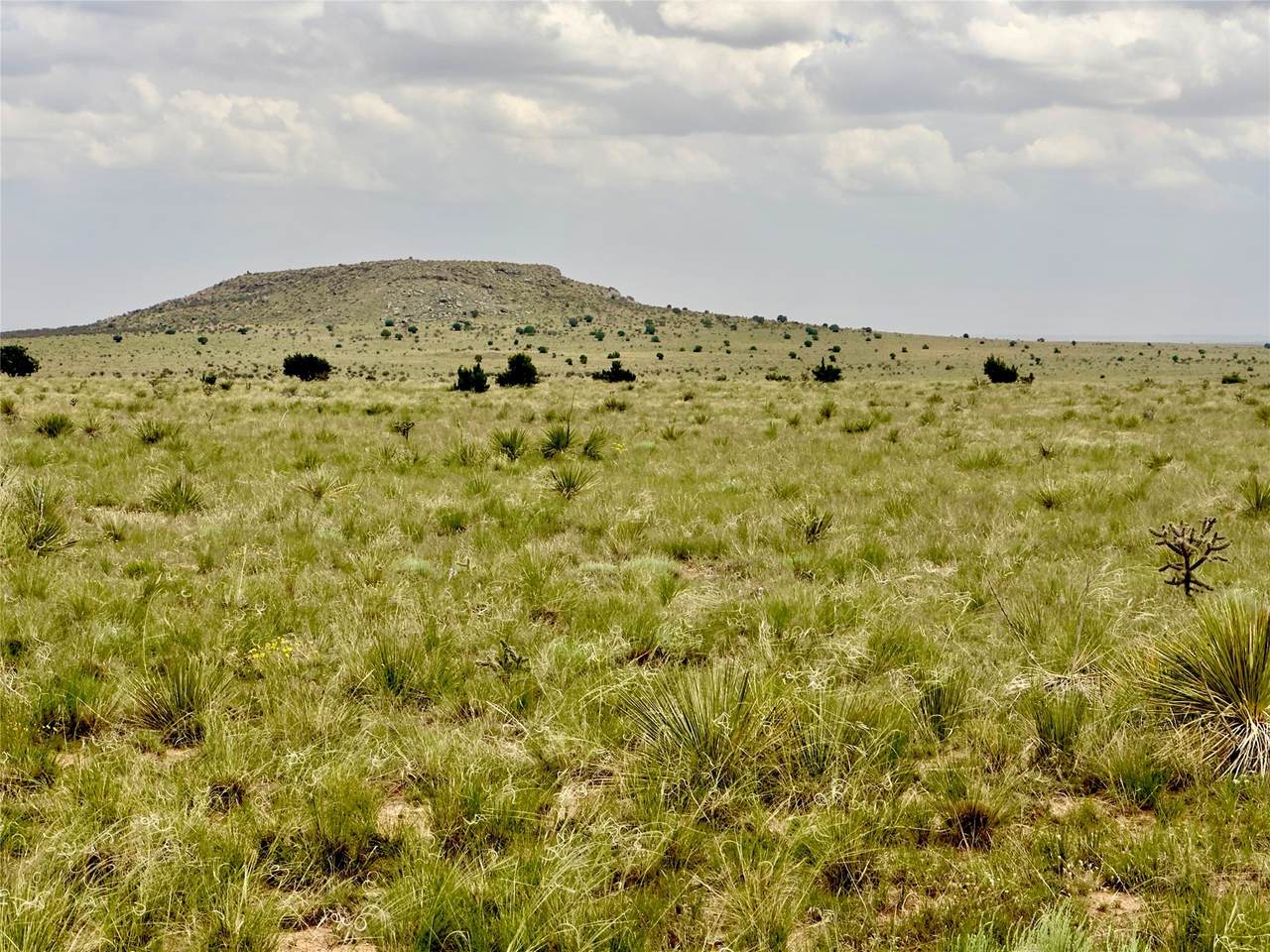 Martinez Pintada Ranch - Photo 1