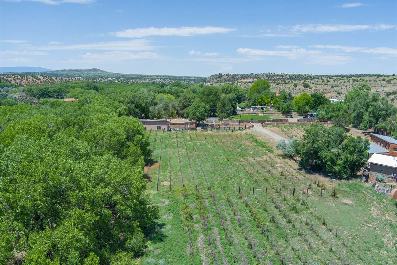 442 Los Pinos Street - Photo 1