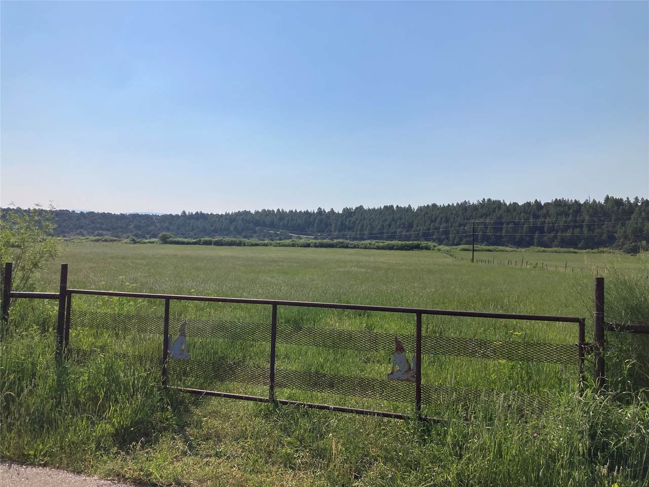 TBD State Road 531/Cr 340 - Photo 1