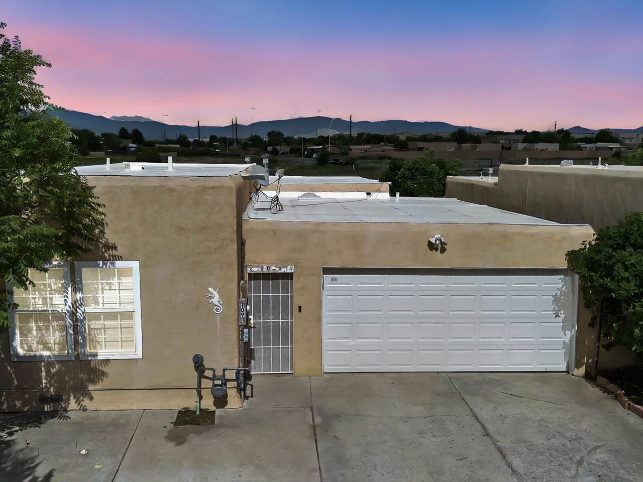 1091 Camino Vista Aurora - Photo 1