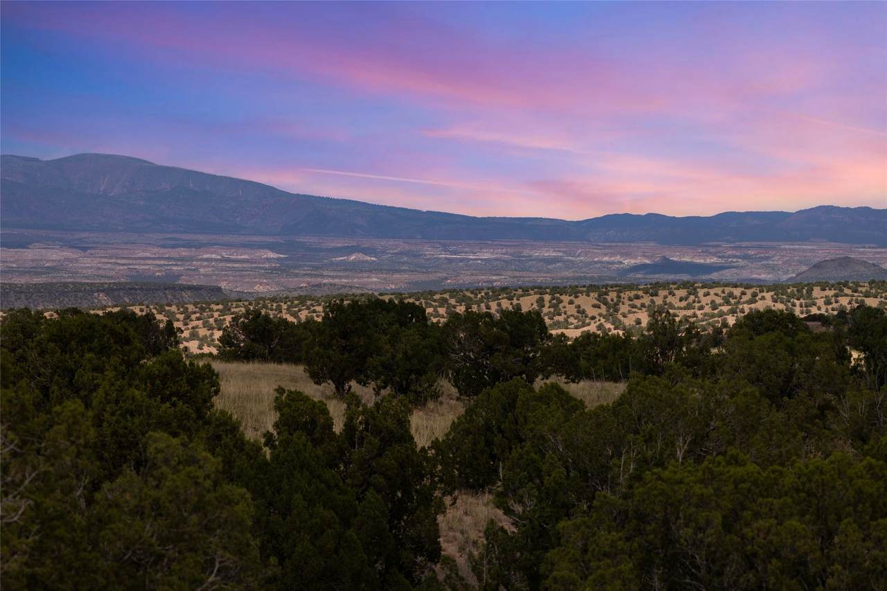 42 Via Del Caballo - Photo 1