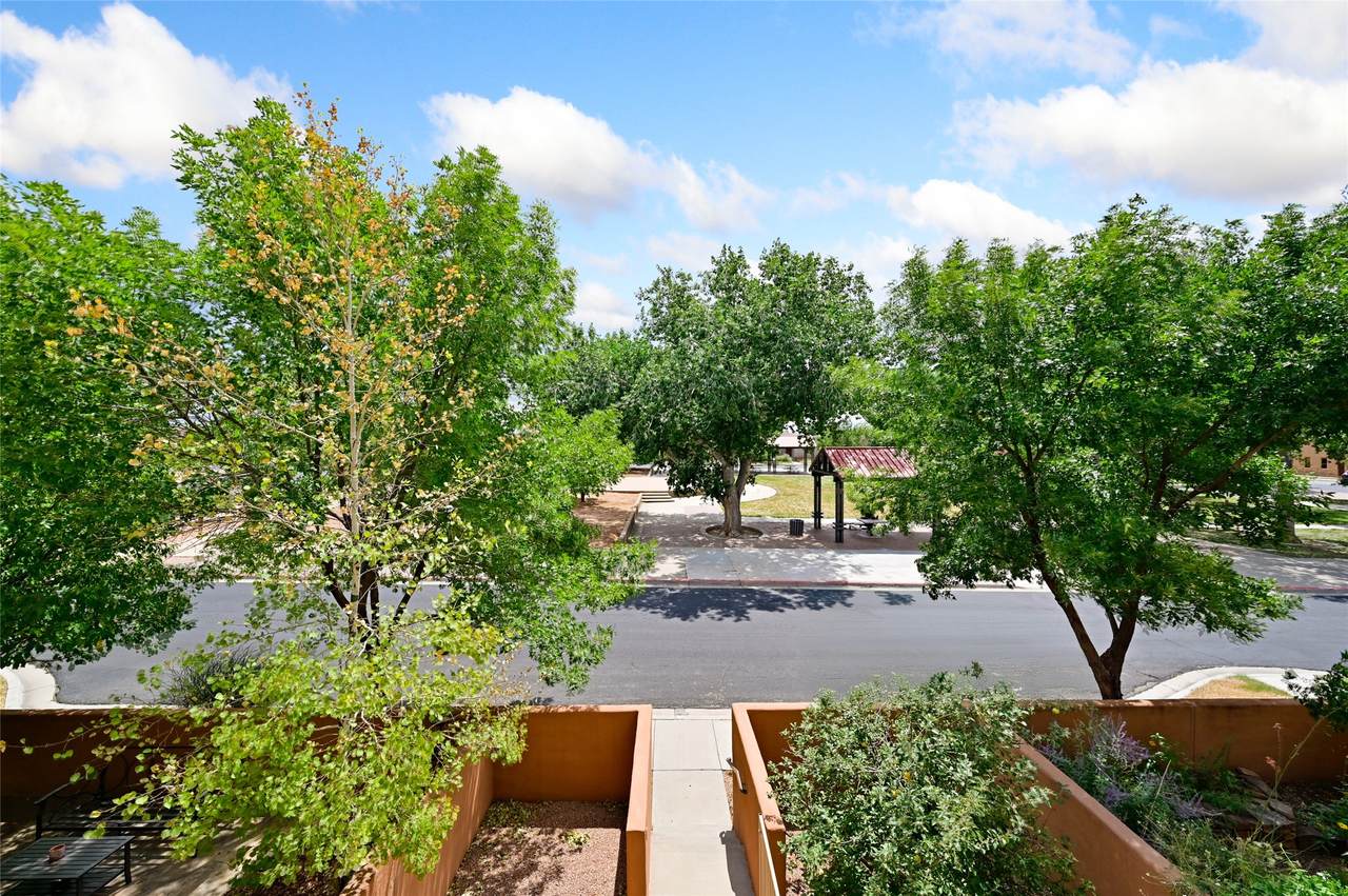 49 Canada Del Rancho - Photo 1