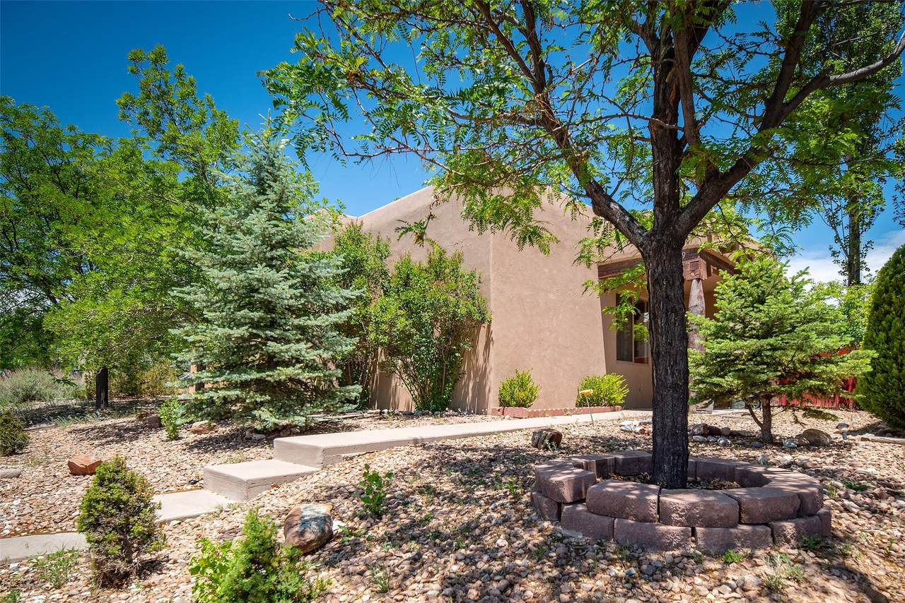 4049 Los Milagros - Photo 1