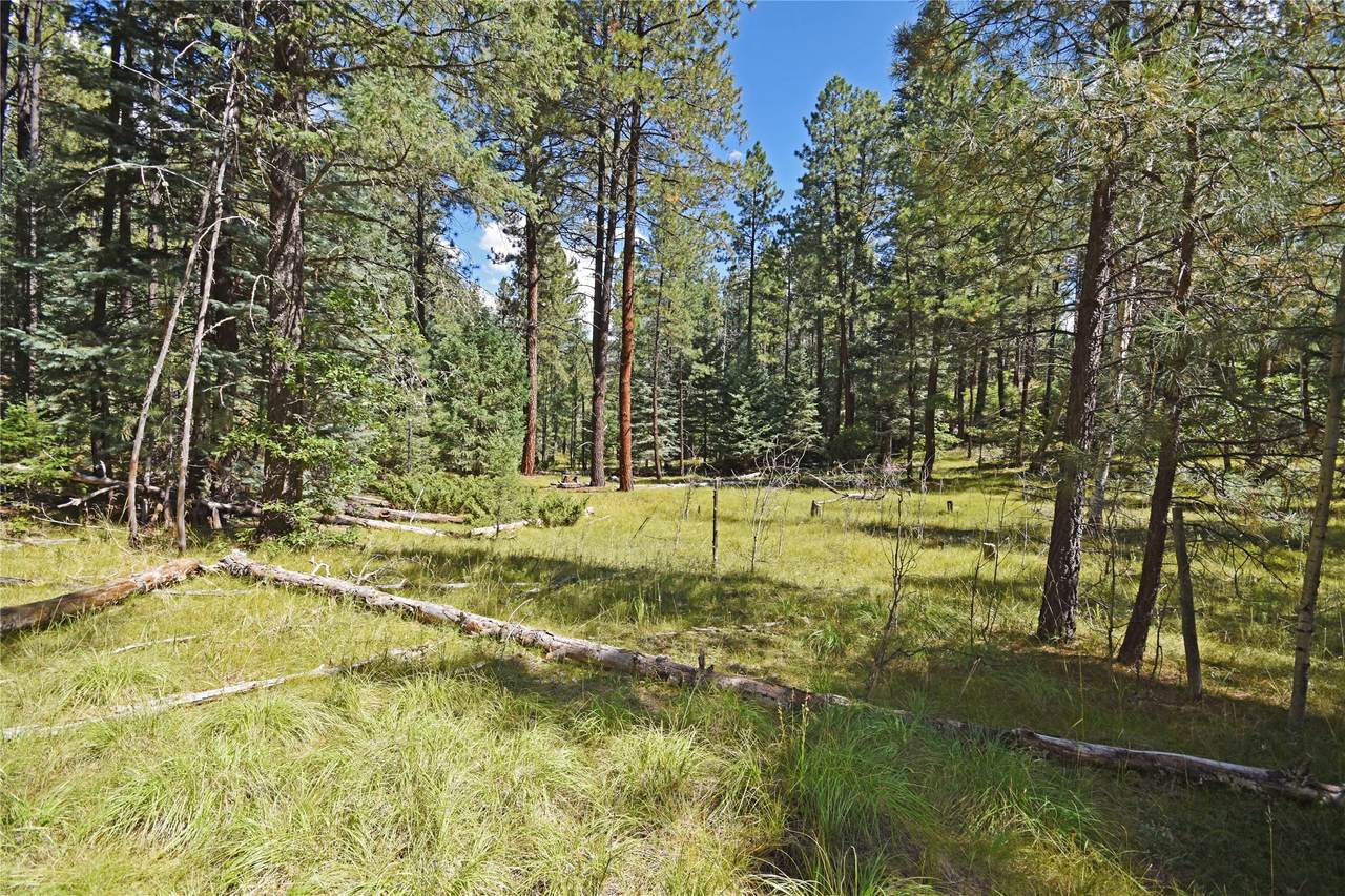 0 Thomsens Point - Photo 1