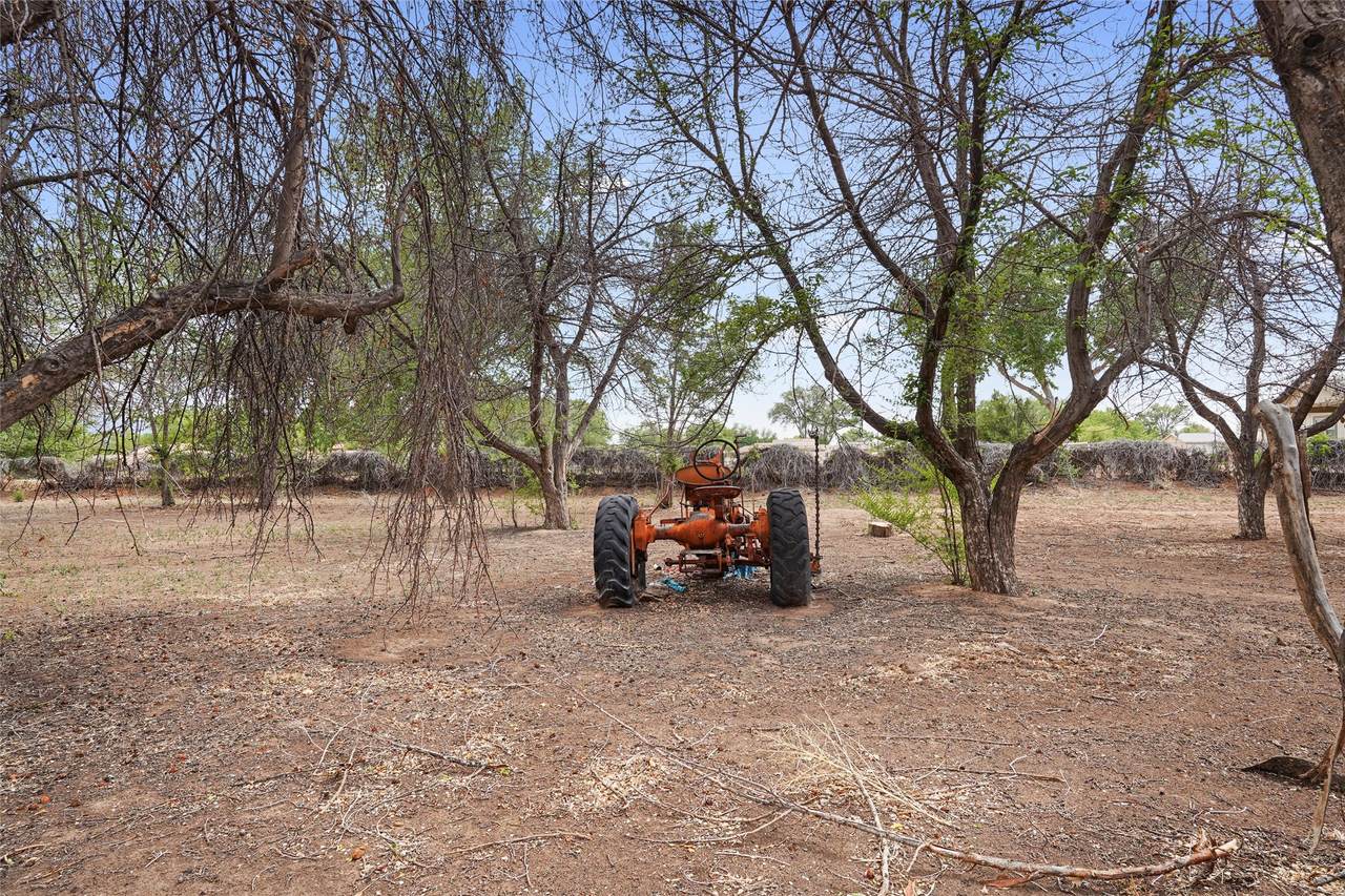 40 Blue Sky - Photo 1