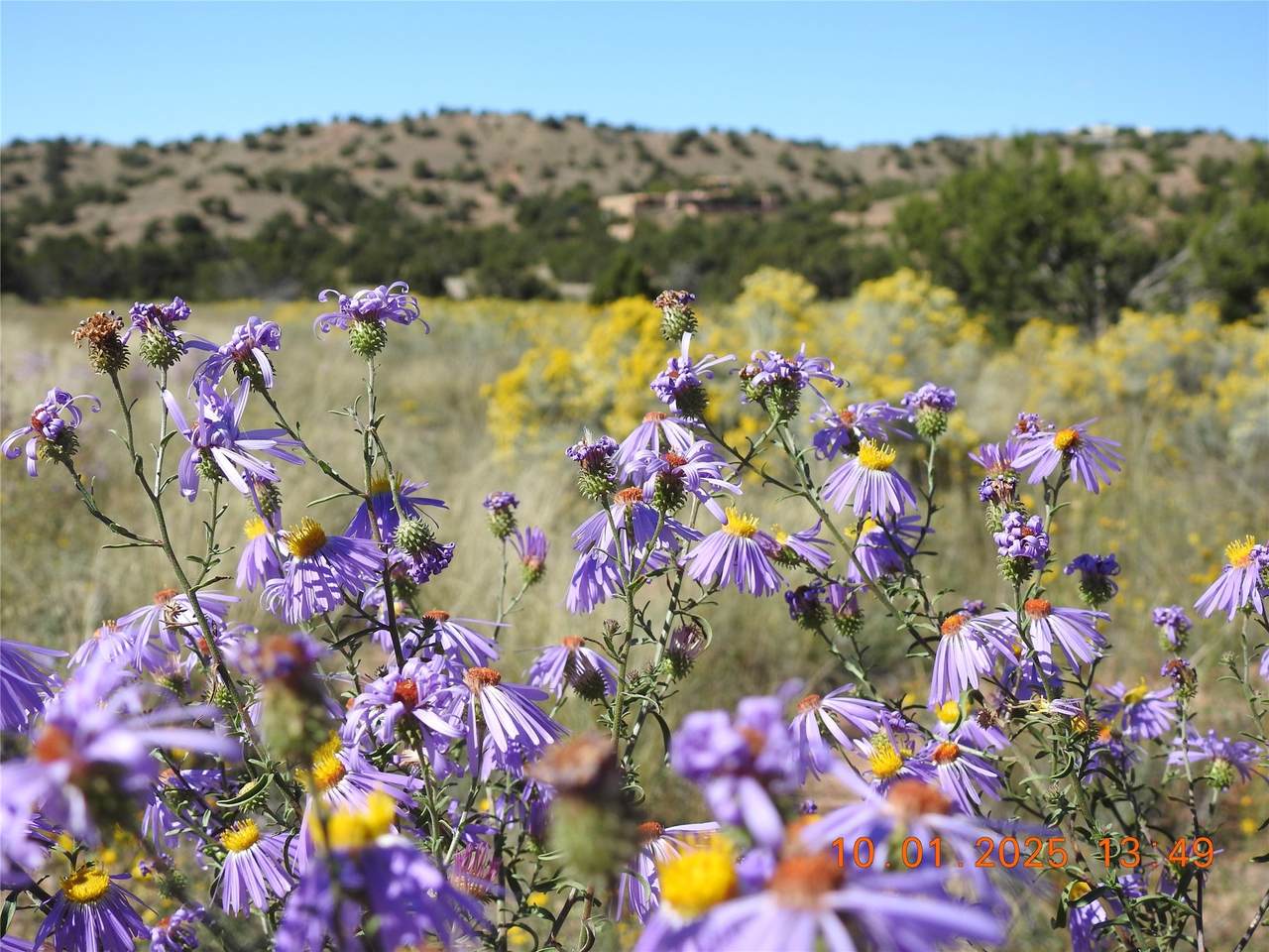 133 Paseo De La Tierra - Photo 1