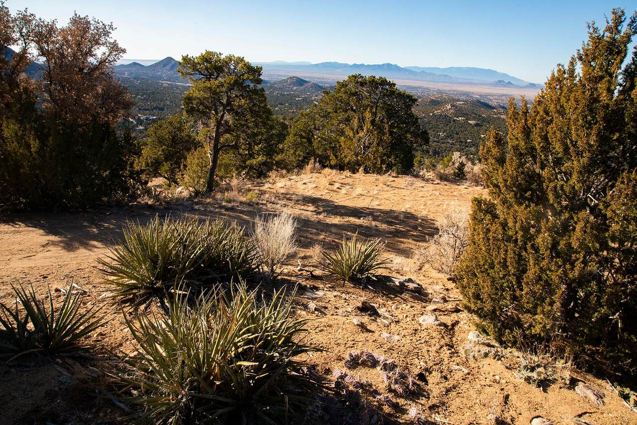 https://bt-photos.global.ssl.fastly.net/santafe/1280_boomver_1_202504531-2.jpg