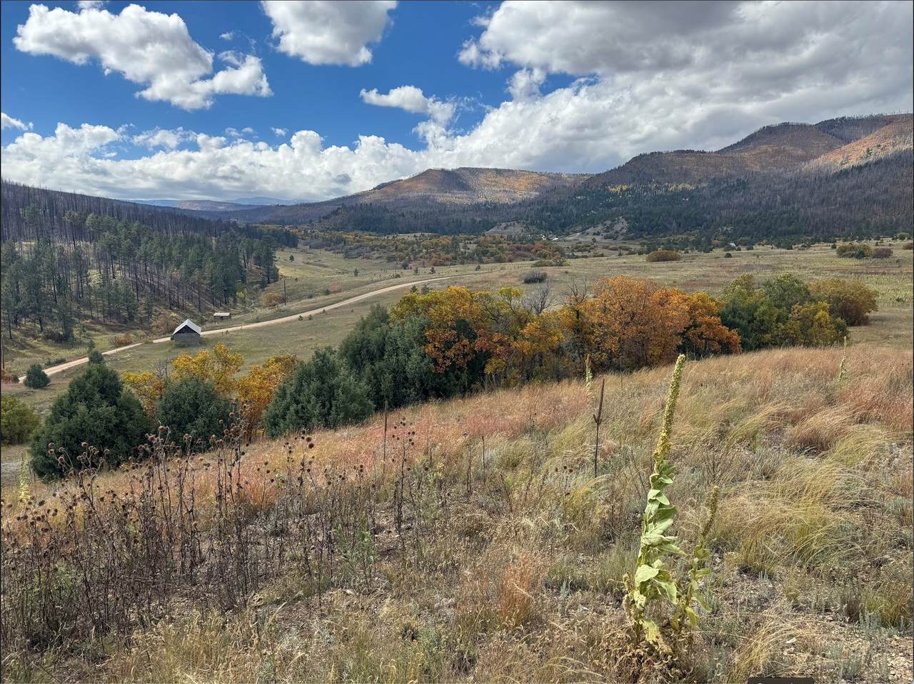 21.745ac Los Alamitos Rd - Photo 1