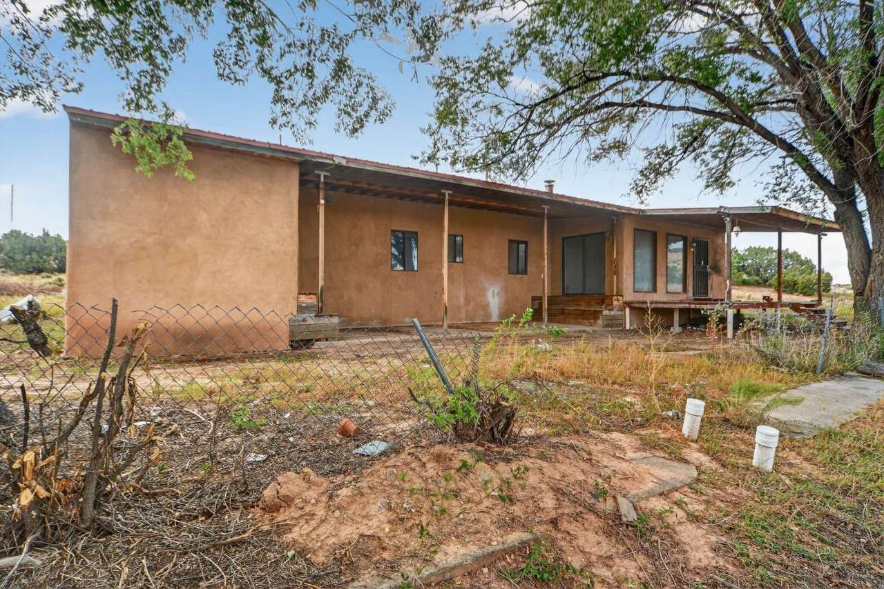 4 Barranquenos - Photo 1