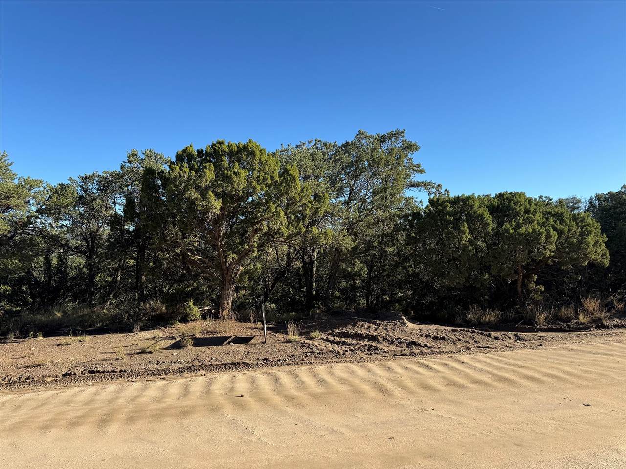 71 Apache Ridge - Photo 1