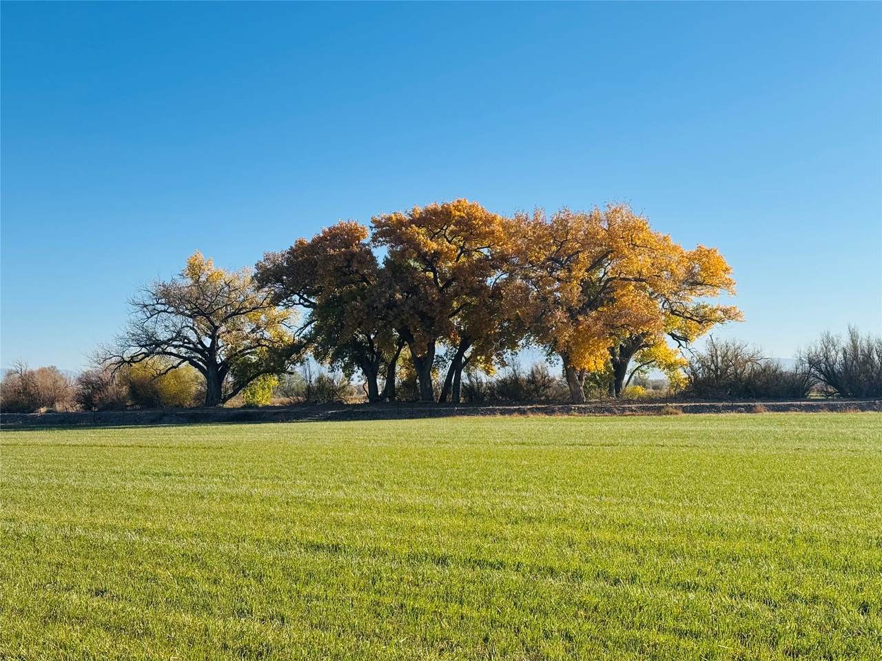 105 Zia Lane - Photo 1