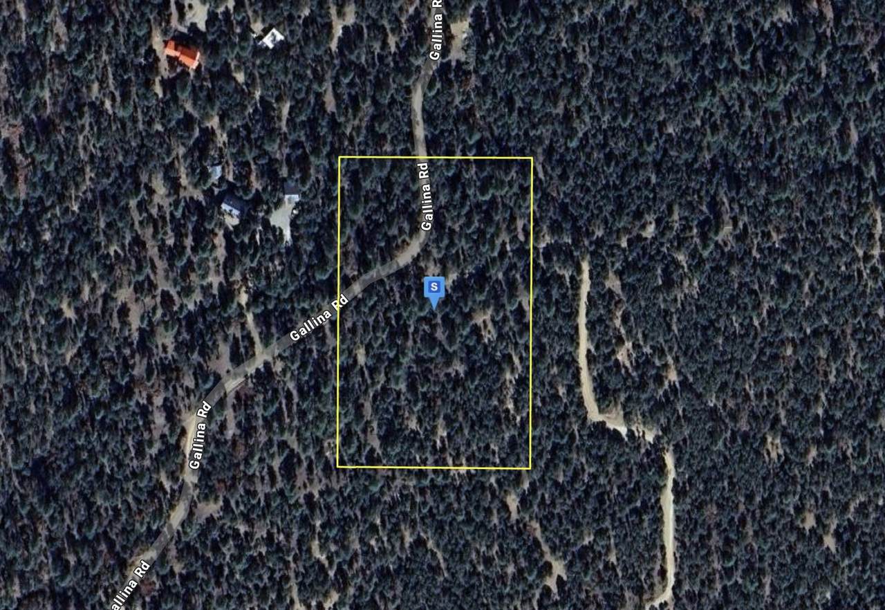 4 Turkey Springs Roads - Photo 1