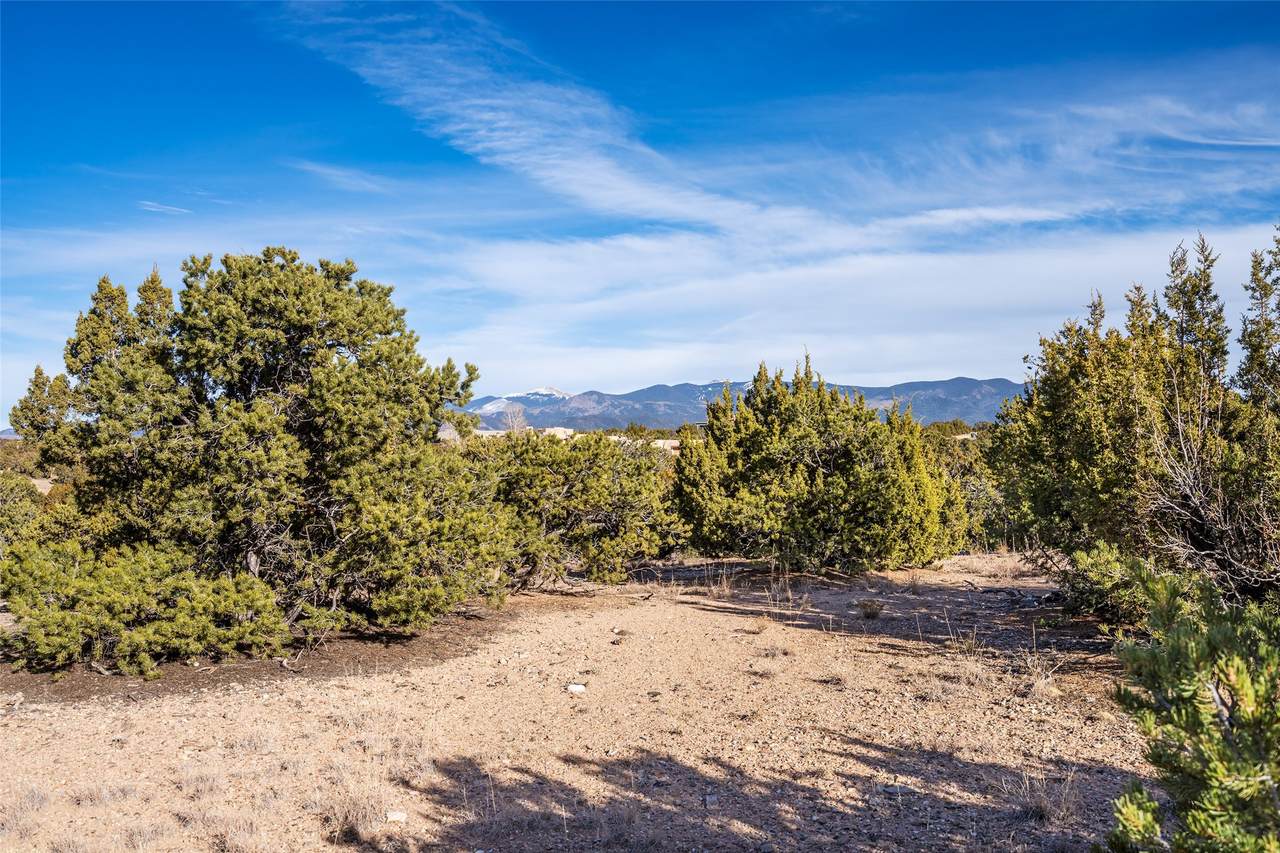 https://bt-photos.global.ssl.fastly.net/santafe/1280_boomver_1_202505435-2.jpg
