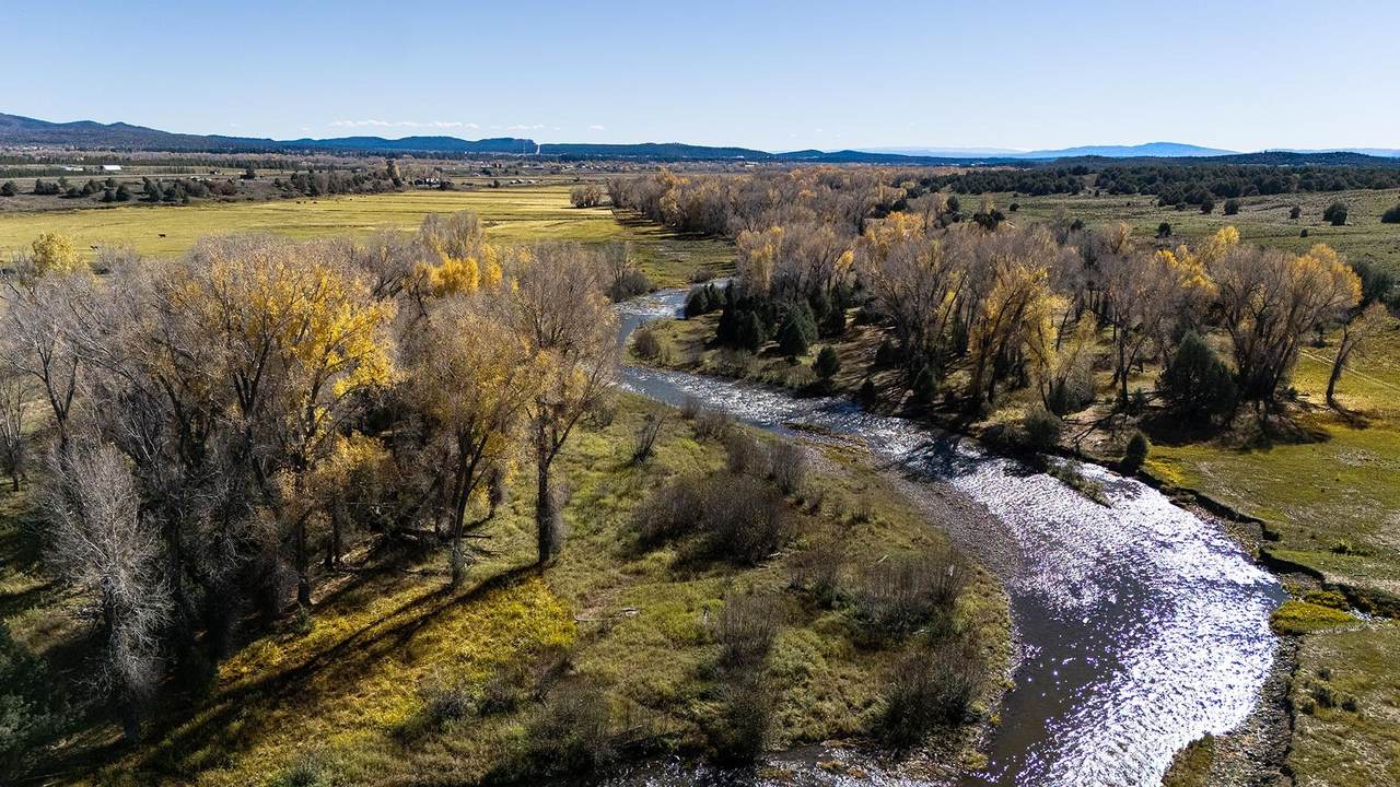 16853 Us-84 - Photo 1