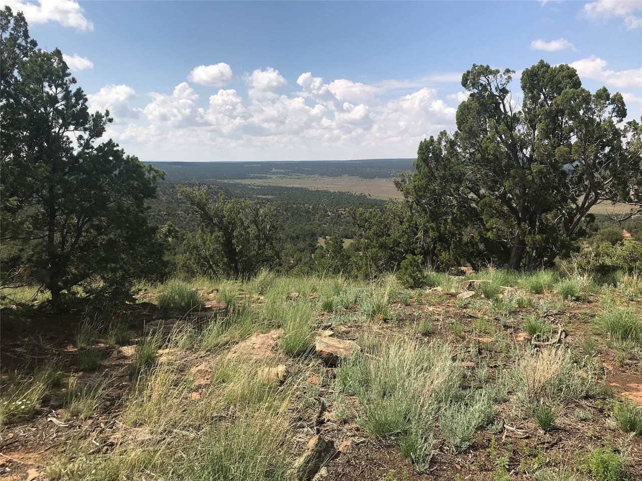 0 Glorieta Mesa - Photo 1