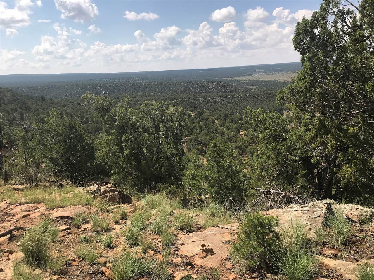 https://bt-photos.global.ssl.fastly.net/santafe/1280_boomver_1_202600368-2.jpg