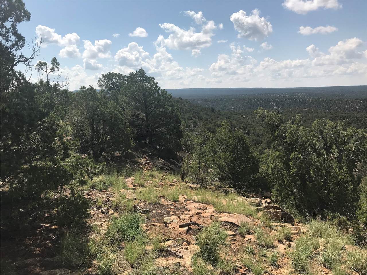 https://bt-photos.global.ssl.fastly.net/santafe/1280_boomver_1_202600368-2.jpg