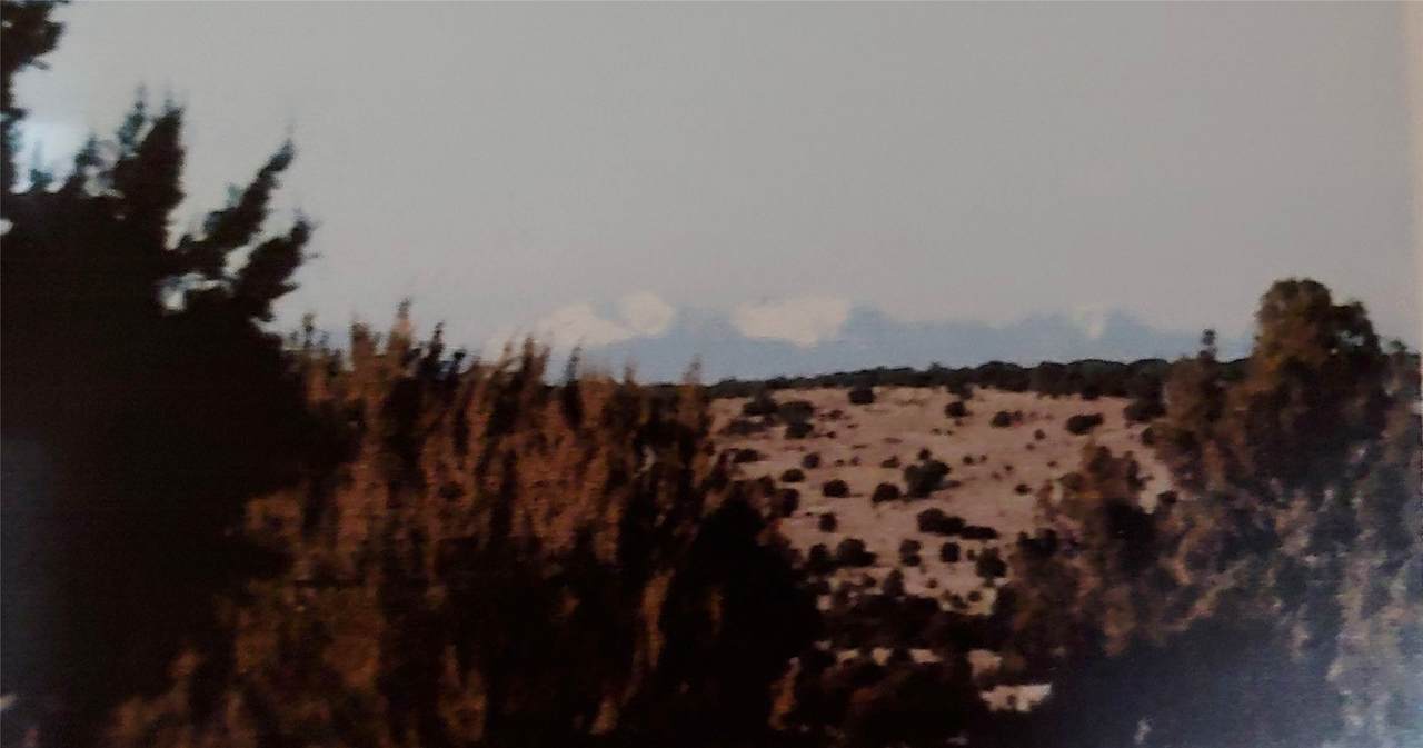 29 Portrillo Creek Ranch - Photo 1