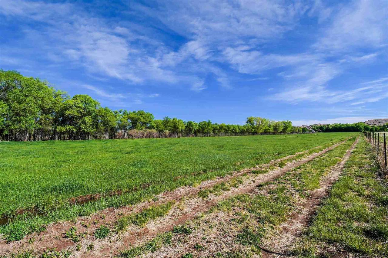 TBD County Rd 56 - Photo 1
