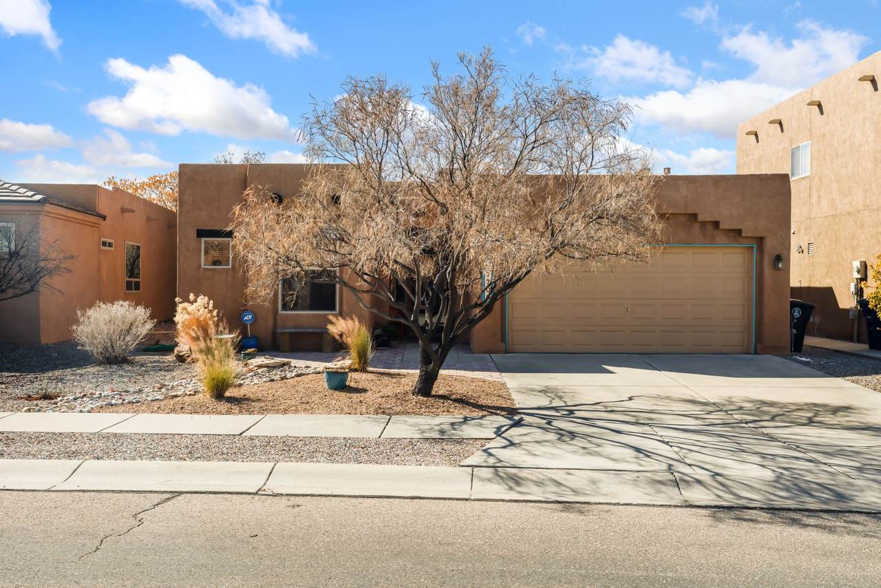 7709 Calle Meseta - Photo 1