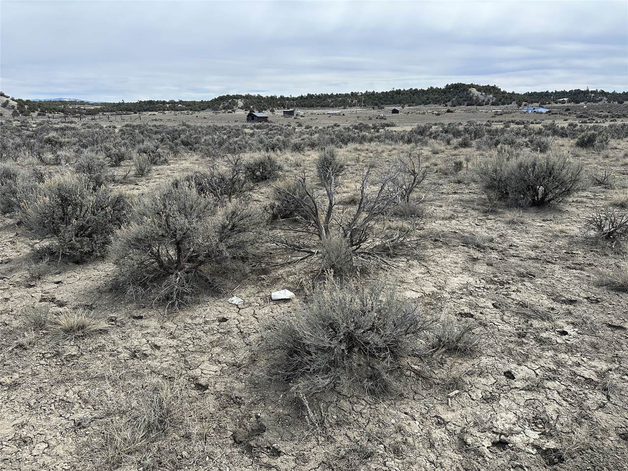 https://bt-photos.global.ssl.fastly.net/santafe/1280_boomver_1_202600830-2.jpg