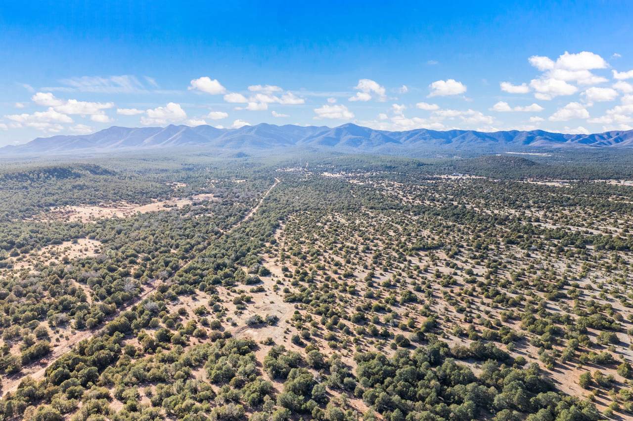 TBD 83 Acres - Photo 1