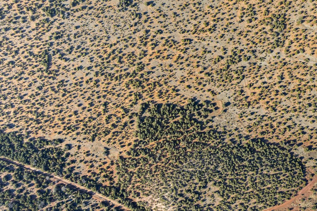 https://bt-photos.global.ssl.fastly.net/santafe/1280_boomver_1_202600856-2.jpg