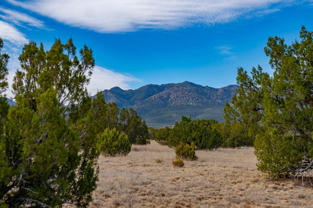https://bt-photos.global.ssl.fastly.net/santafe/1280_boomver_1_202600867-2.jpg