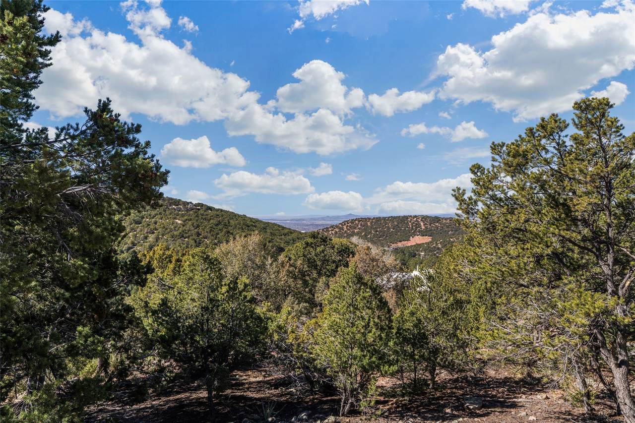 3300 El Paseo - Photo 1