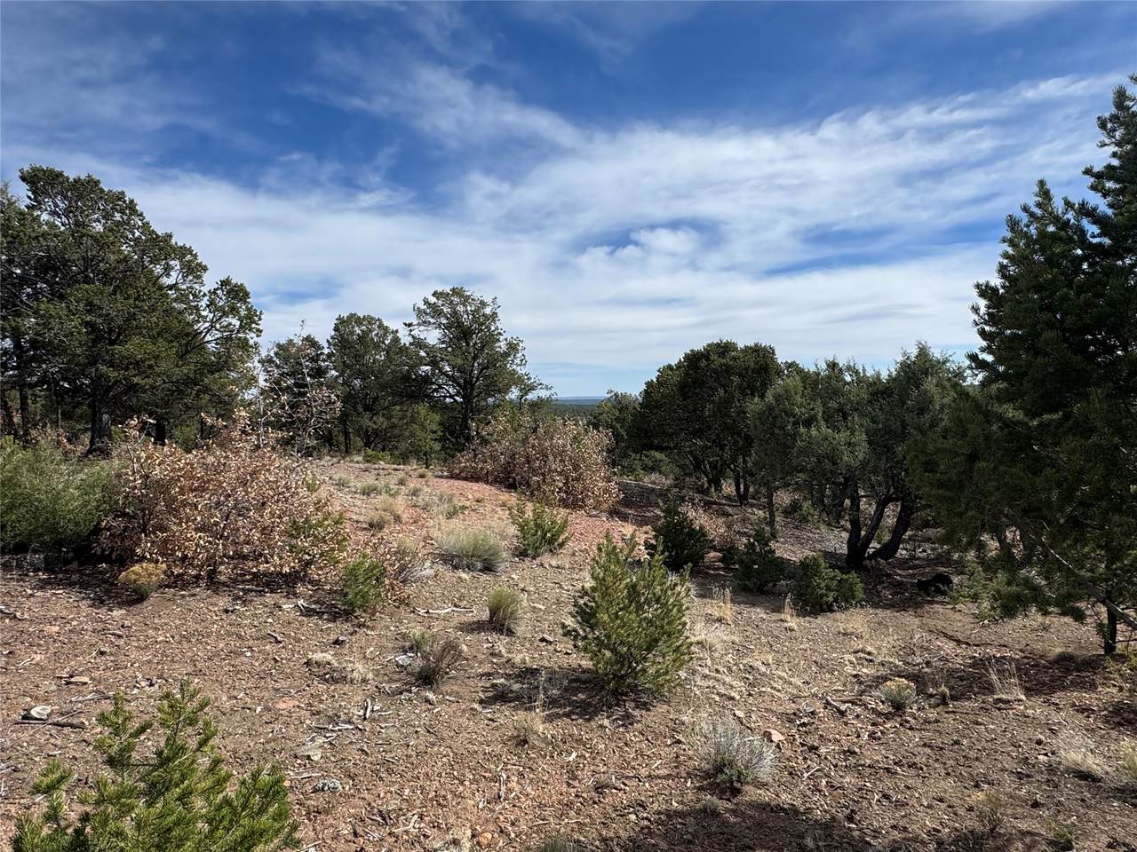 https://bt-photos.global.ssl.fastly.net/santafe/1280_boomver_1_202601184-2.jpg