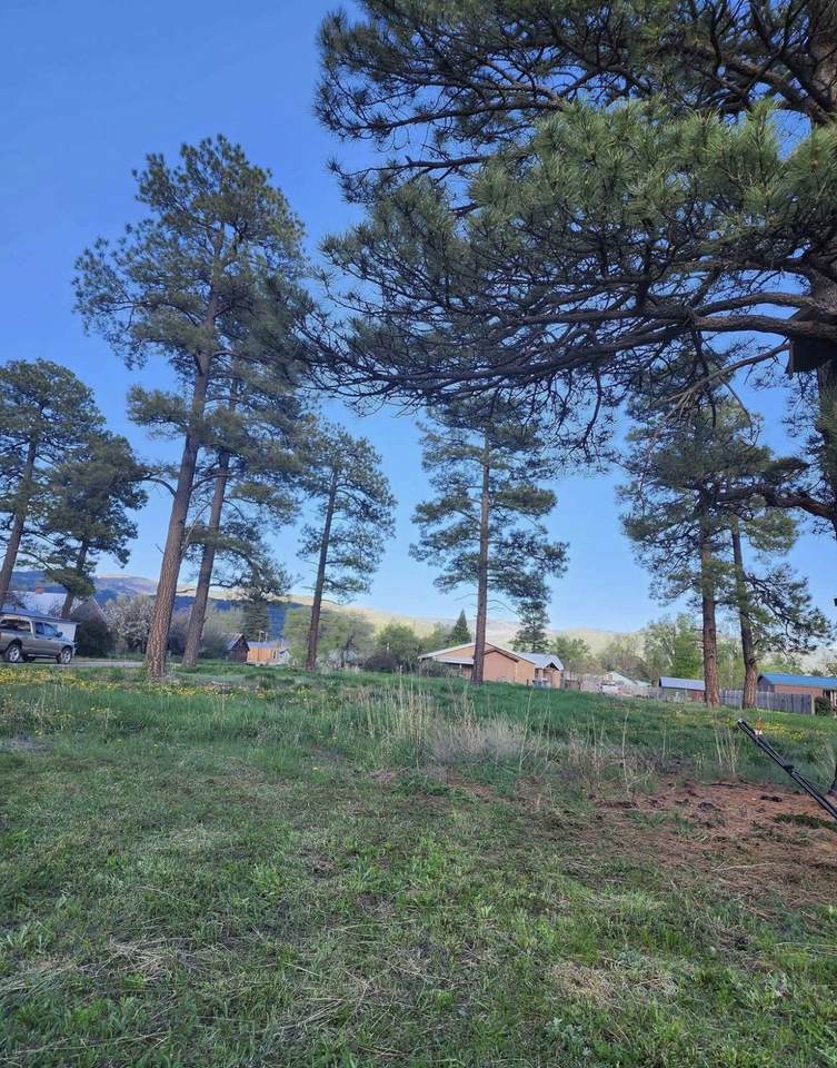 701 Grove Avenue - Photo 1