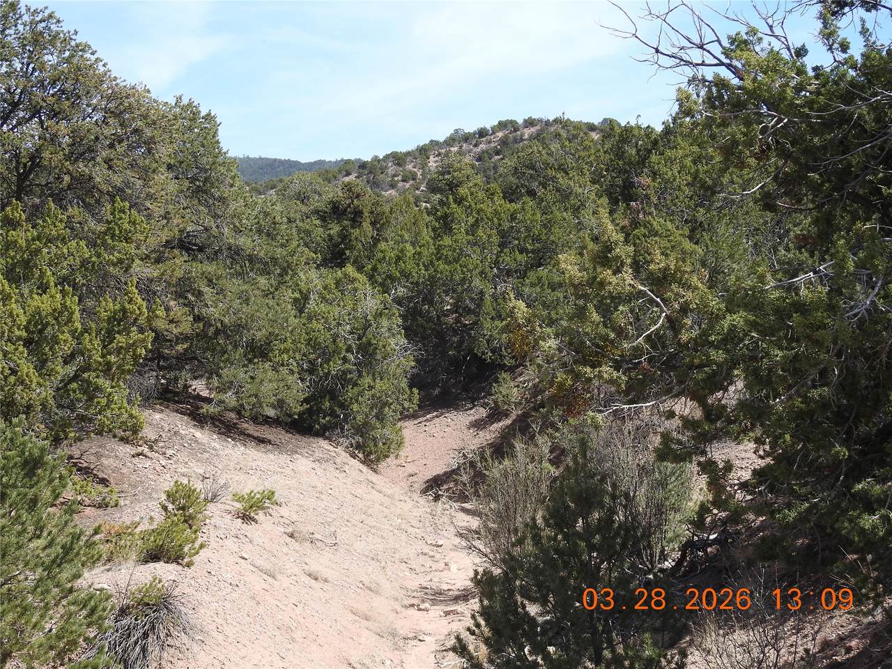 https://bt-photos.global.ssl.fastly.net/santafe/1280_boomver_1_202601272-2.jpg