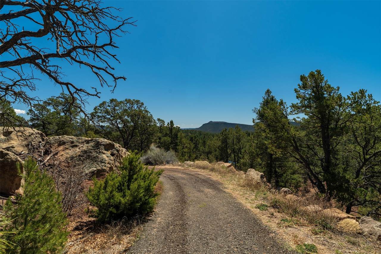 30 Monte La Cueva Road - Photo 1