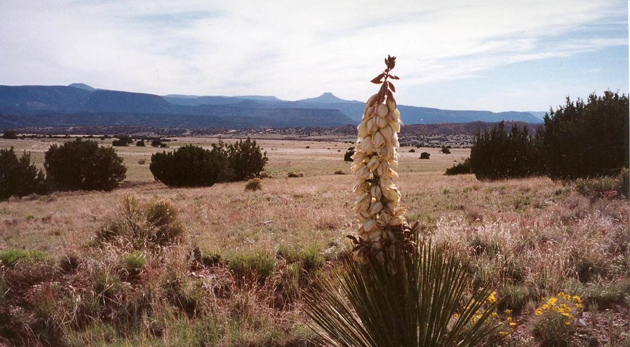 https://bt-photos.global.ssl.fastly.net/santafe/1280_boomver_1_202601394-2.jpg