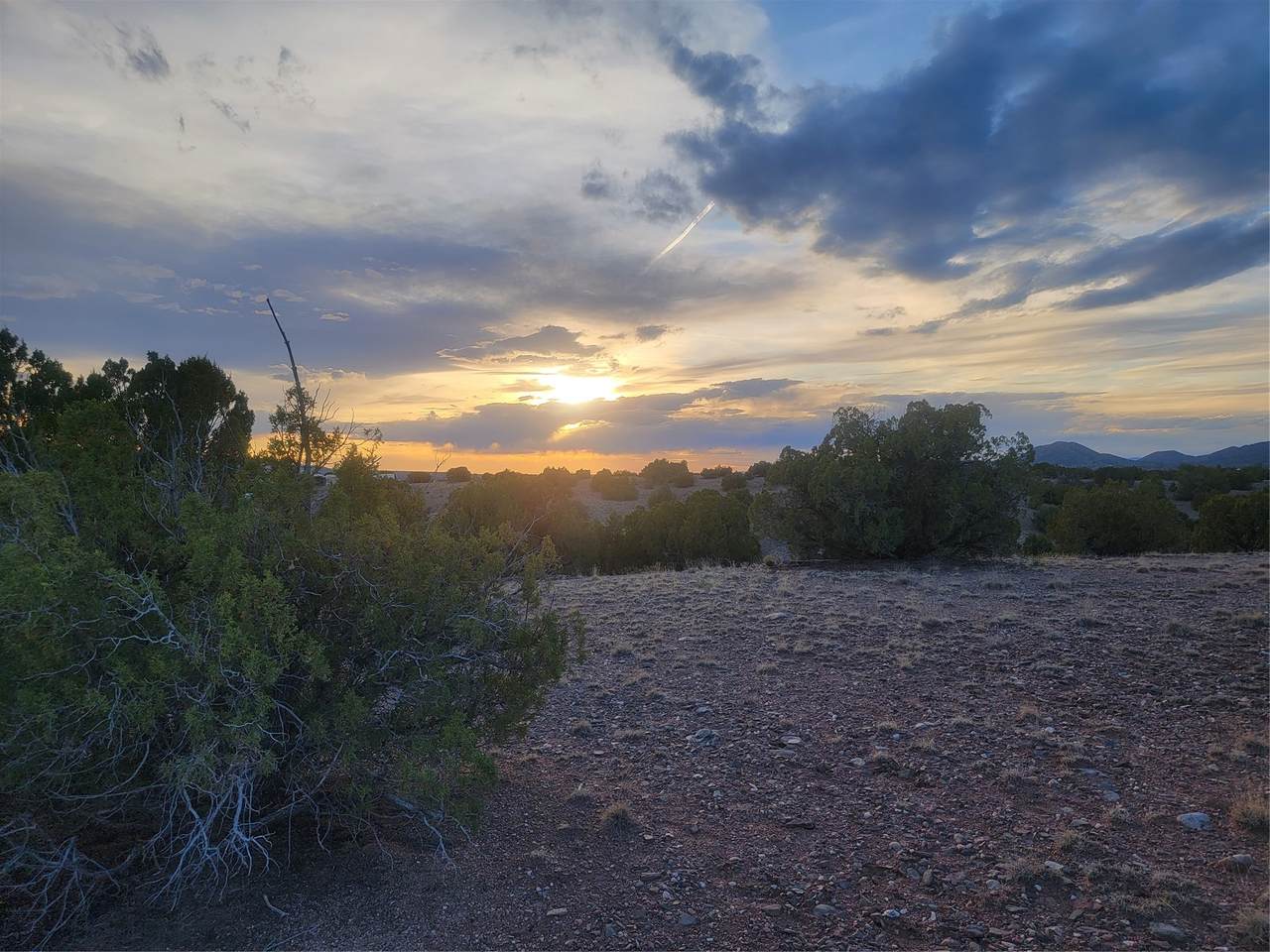 218 Horny Toad Road - Photo 1