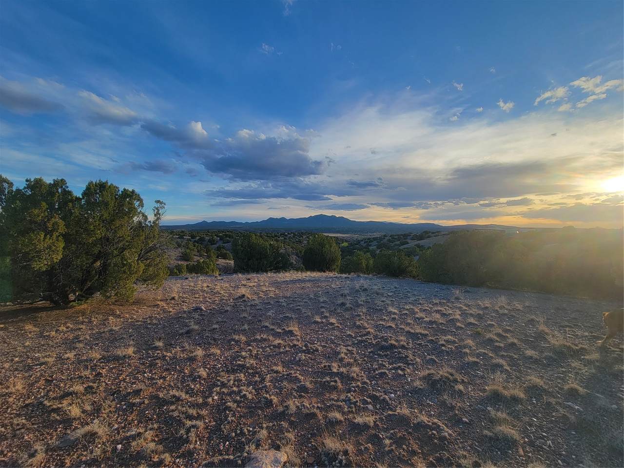 https://bt-photos.global.ssl.fastly.net/santafe/1280_boomver_1_202601459-2.jpg