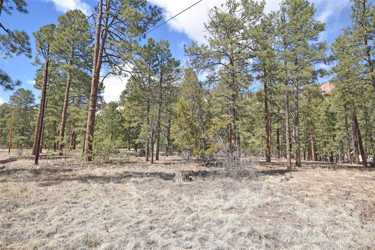 Lot 49A Cool Pines - Photo 1