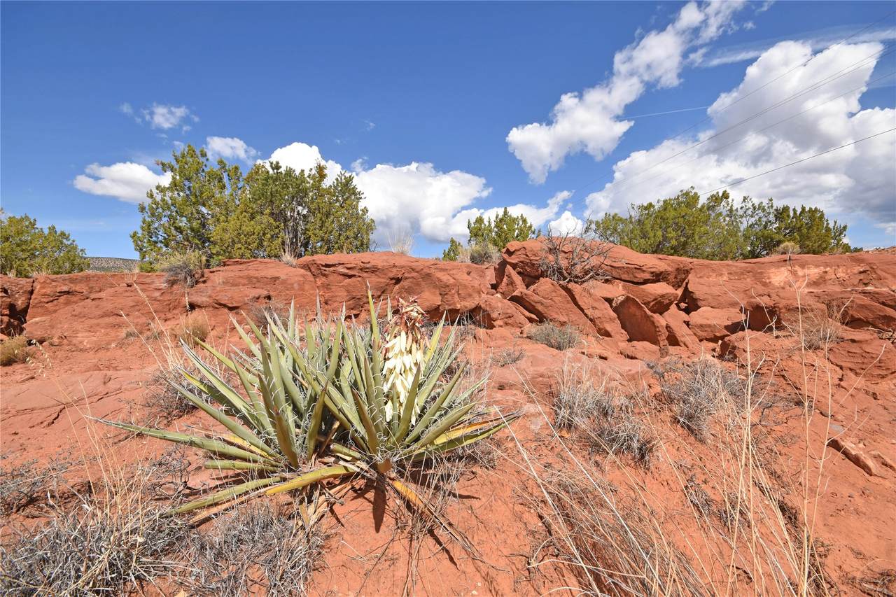 https://bt-photos.global.ssl.fastly.net/santafe/1280_boomver_1_202601482-2.jpg