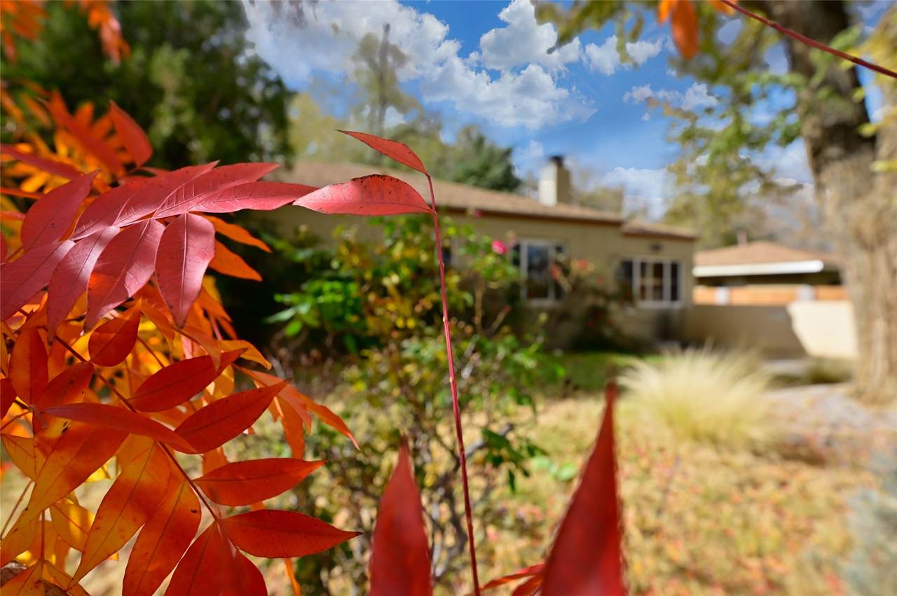 821 Solano Drive - Photo 1