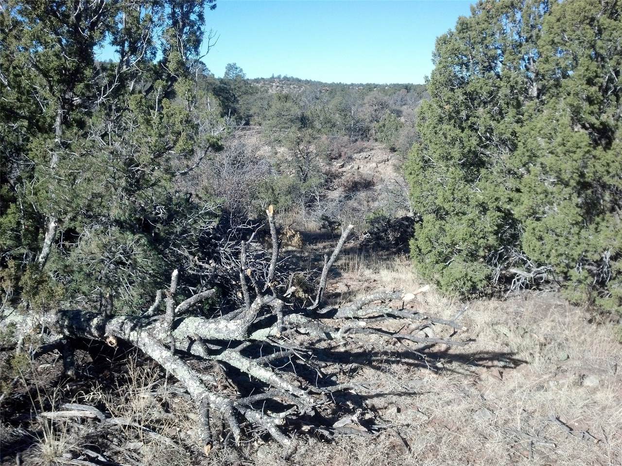https://bt-photos.global.ssl.fastly.net/santafe/1280_boomver_1_202601590-2.jpg