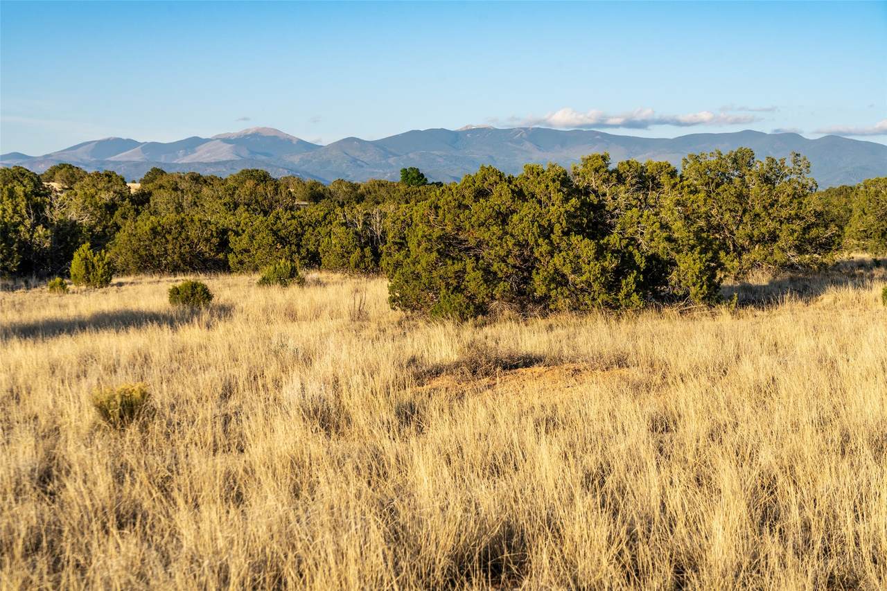 https://bt-photos.global.ssl.fastly.net/santafe/1280_boomver_1_202601639-2.jpg
