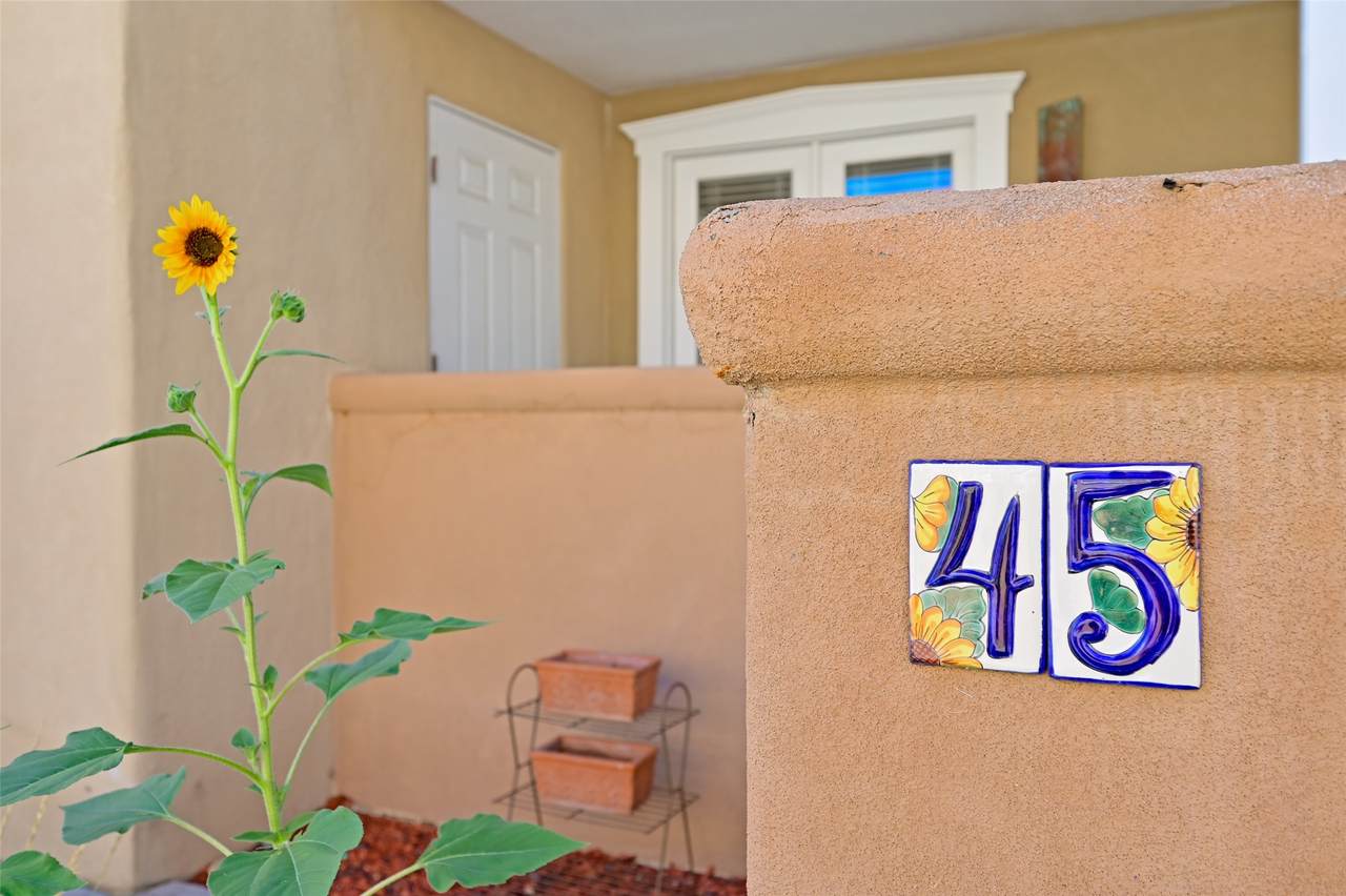 663 Bishops Lodge Road - Photo 1