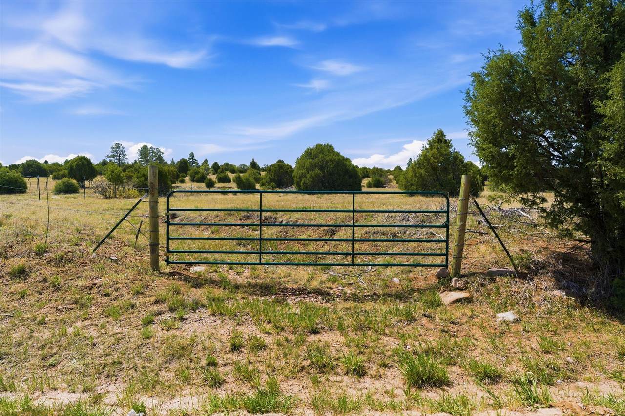 15.22 Acres County Road 75 - Photo 1