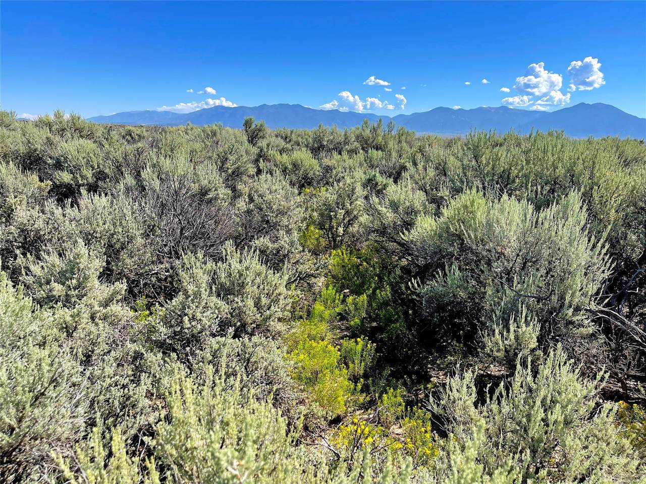 XX Rim Road Cb-115 (Parcel A Rancho Sabina Desgeorges - Photo 1